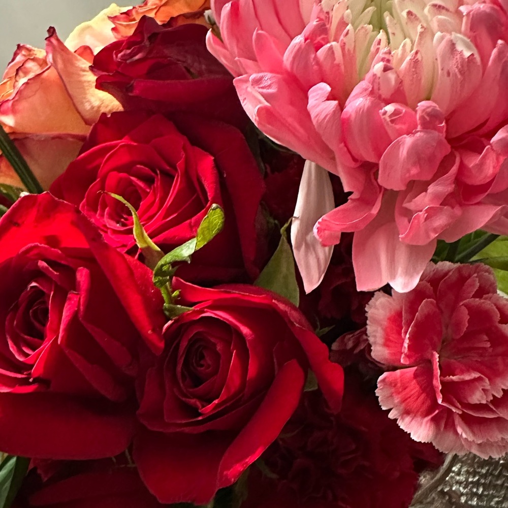 Meet your Posher, Jay